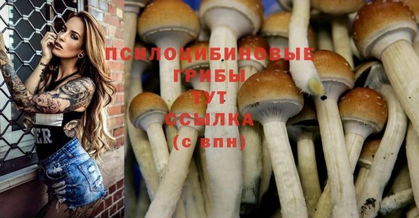 альфа пвп Каменск-Шахтинский