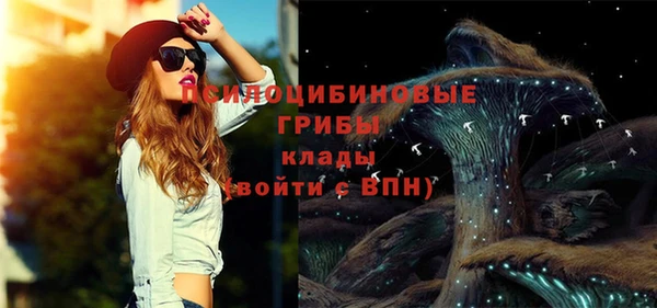ALPHA PVP Киреевск