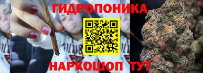 крисы Волжский