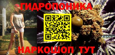 крисы Волжский