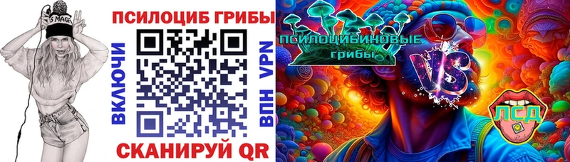 продажа наркотиков  Ипатово  кракен маркетплейс  Галлюциногенные грибы Cubensis 