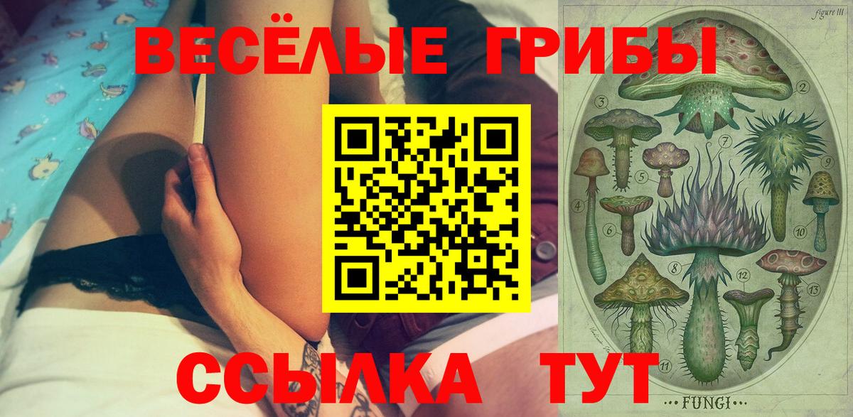 Галлюциногенные грибы Cubensis  Ипатово 