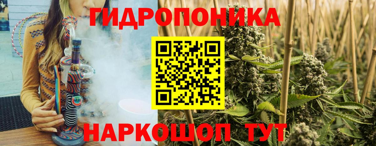 Каннабис Amnesia  Вход с VPN  Марихуана тримм  Ипатово  Марихуана план 